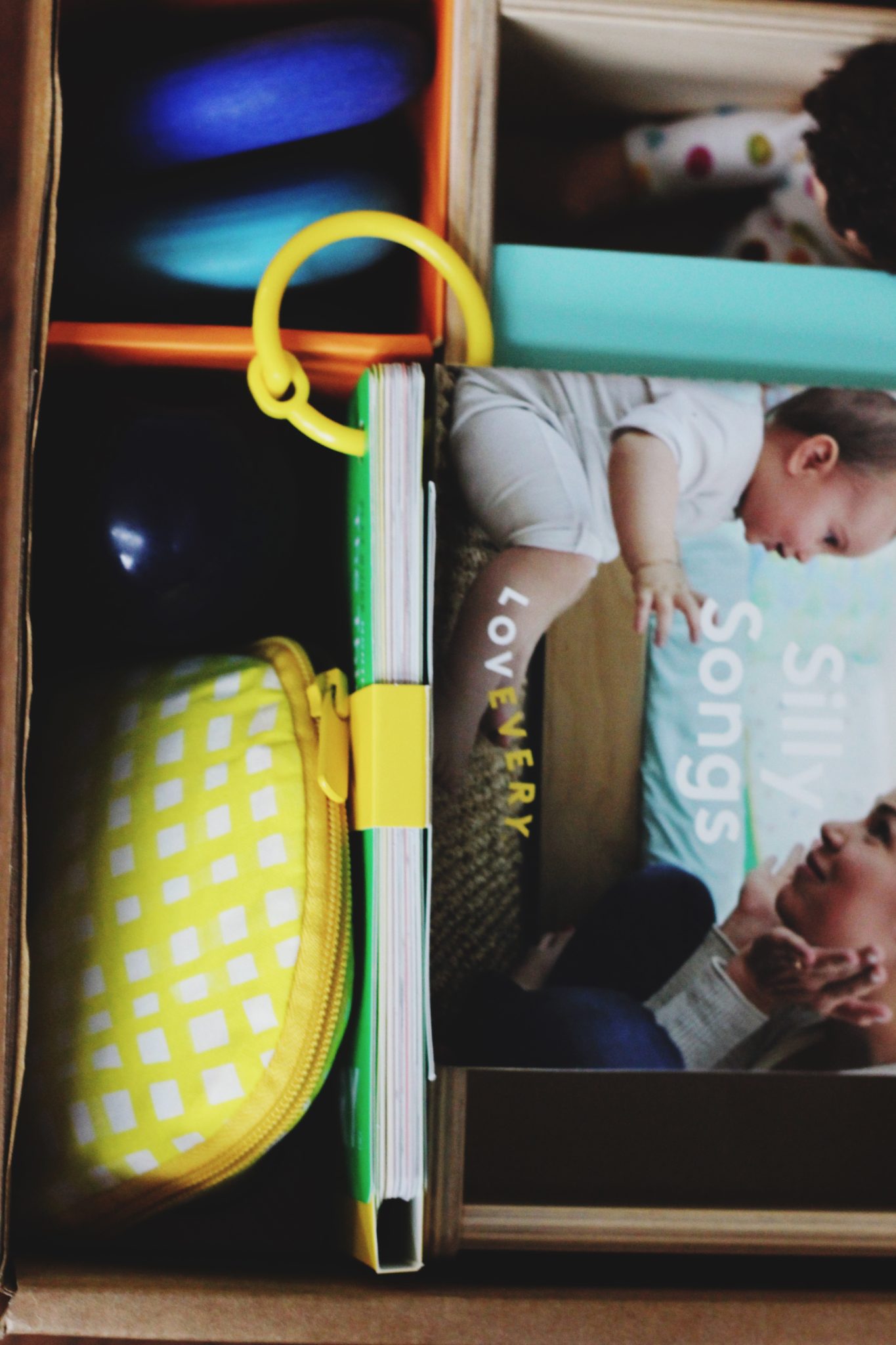 newborn toy subscription